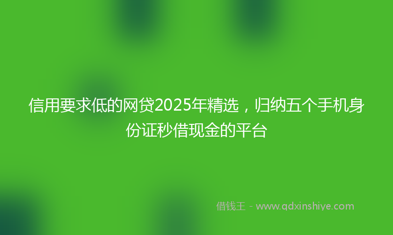 信用要求低的网贷2025年精选，归纳五个手机身份证秒借现金的平台