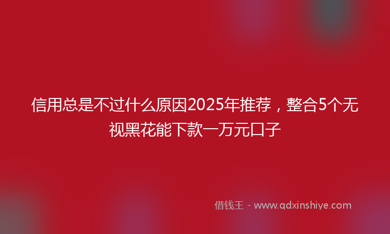 信用总是不过什么原因2025年推荐，整合5个无视黑花能下款一万元口子