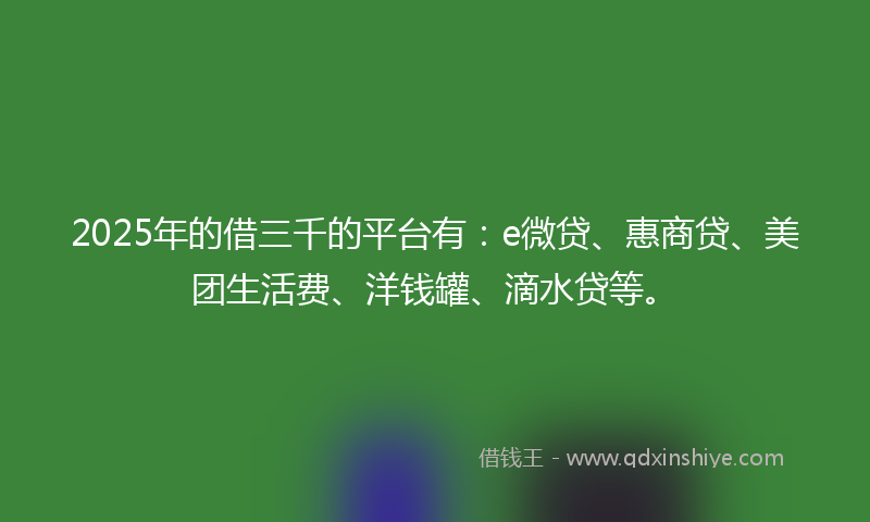 2025年的借三千的平台有：e微贷、惠商贷、美团生活费、洋钱罐、滴水贷等。