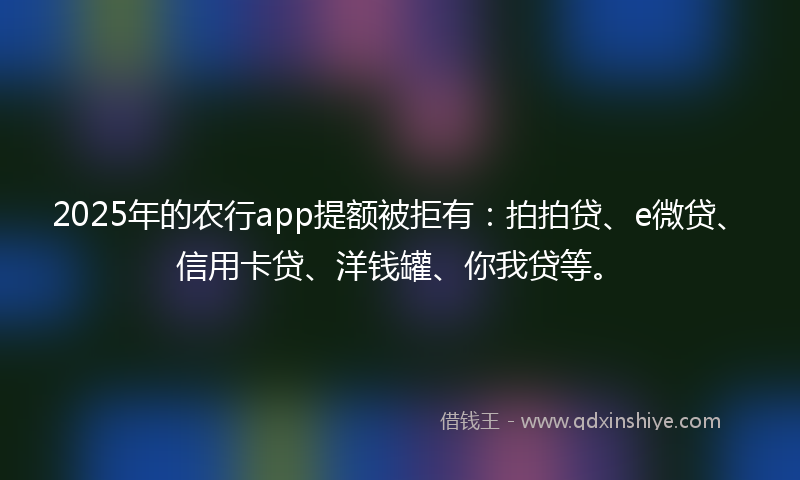 2025年的农行app提额被拒有：拍拍贷、e微贷、信用卡贷、洋钱罐、你我贷等。