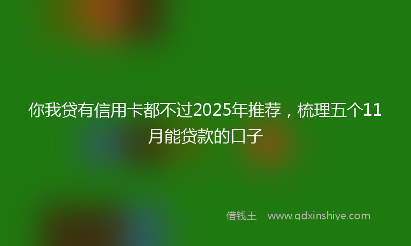 你我贷有信用卡都不过2025年推荐，梳理五个11月能贷款的口子