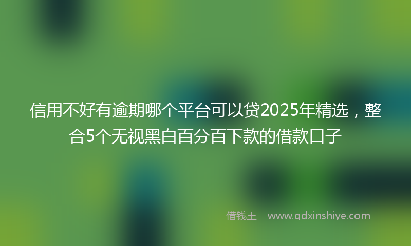 信用不好有逾期哪个平台可以贷2025年精选，整合5个无视黑白百分百下款的借款口子