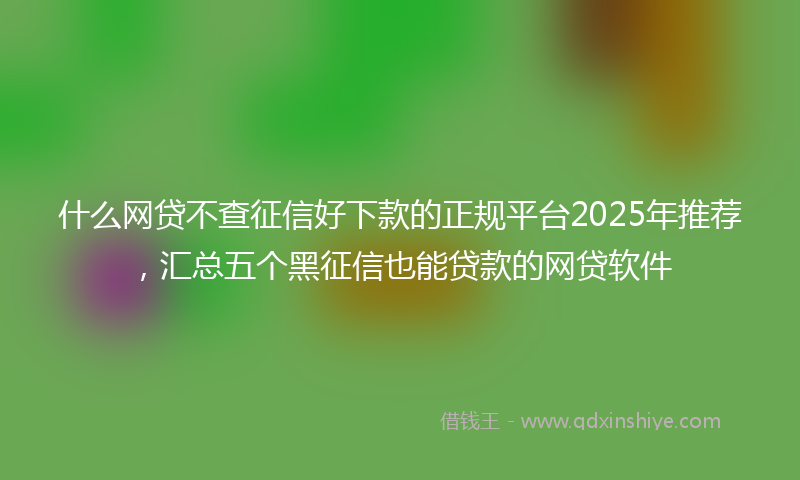 什么网贷不查征信好下款的正规平台2025年推荐，汇总五个黑征信也能贷款的网贷软件