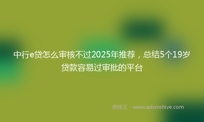 中行e贷怎么审核不过2025年推荐，总结5个19岁贷款容易过审批的平台