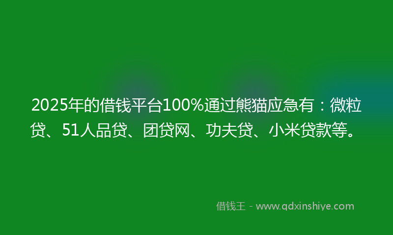 2025年的借钱平台100%通过熊猫应急有：微粒贷、51人品贷、团贷网、功夫贷、小米贷款等。