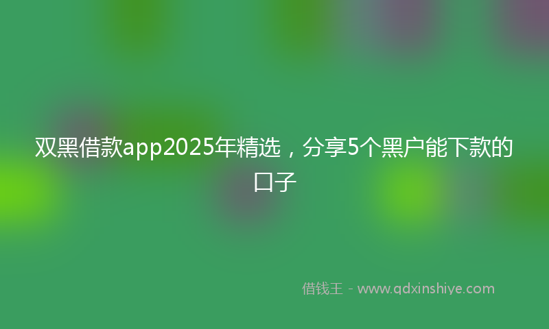 双黑借款app2025年精选，分享5个黑户能下款的口子