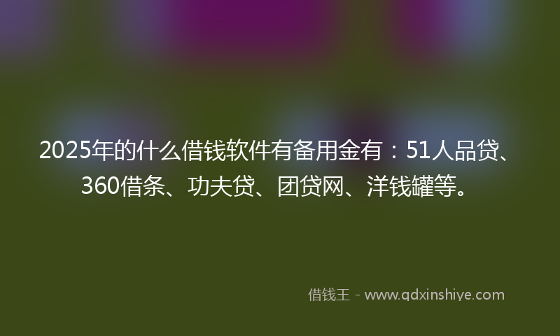 2025年的什么借钱软件有备用金有:51人品贷、360借条、功夫贷、团贷网、洋钱罐等。