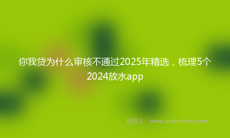 你我贷为什么审核不通过2025年精选，梳理5个2024放水app
