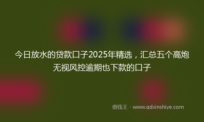 今日放水的贷款口子2025年精选，汇总五个高炮无视风控逾期也下款的口子