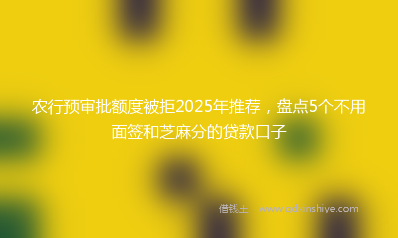 农行预审批额度被拒2025年推荐，盘点5个不用面签和芝麻分的贷款口子