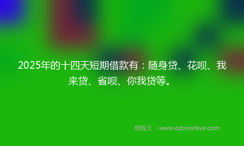 2025年的十四天短期借款有：随身贷、花呗、我来贷、省呗、你我贷等。