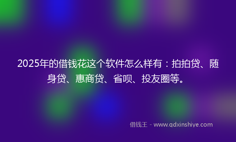 2025年的借钱花这个软件怎么样有：拍拍贷、随身贷、惠商贷、省呗、投友圈等。
