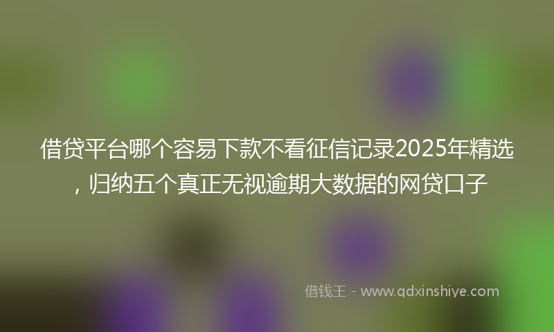 借贷平台哪个容易下款不看征信记录2025年精选，归纳五个真正无视逾期大数据的网贷口子