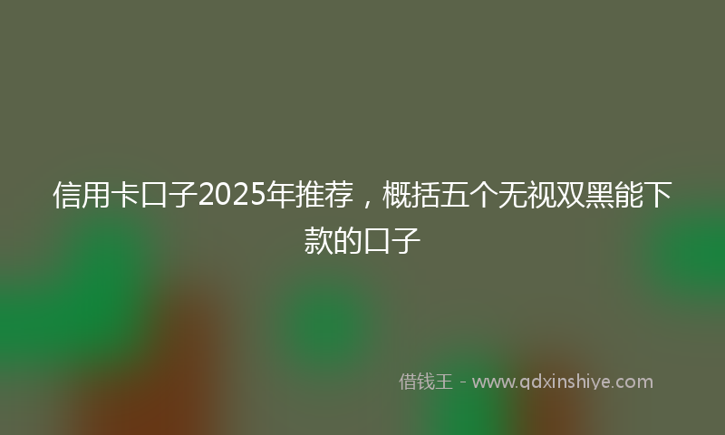 信用卡口子2025年推荐，概括五个无视双黑能下款的口子