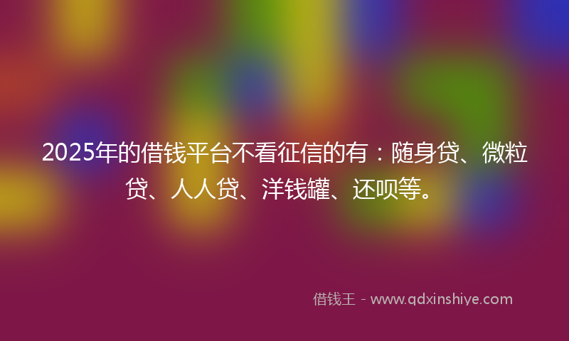 2025年的借钱平台不看征信的有：随身贷、微粒贷、人人贷、洋钱罐、还呗等。