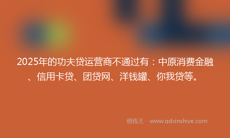 2025年的功夫贷运营商不通过有：中原消费金融、信用卡贷、团贷网、洋钱罐、你我贷等。