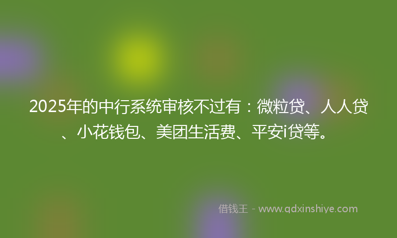 2025年的中行系统审核不过有：微粒贷、人人贷、小花钱包、美团生活费、平安i贷等。
