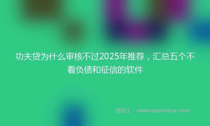 功夫贷为什么审核不过2025年推荐，汇总五个不看负债和征信的软件