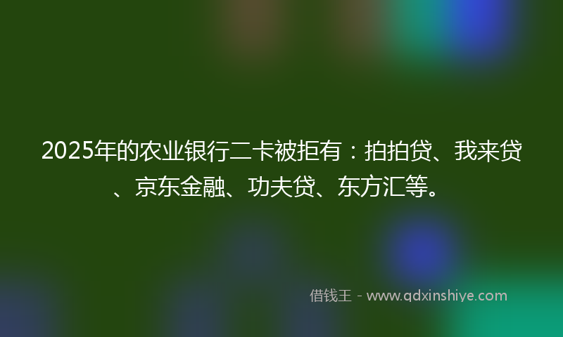 2025年的农业银行二卡被拒有：拍拍贷、我来贷、京东金融、功夫贷、东方汇等。