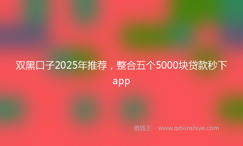 双黑口子2025年推荐，整合五个5000块贷款秒下app
