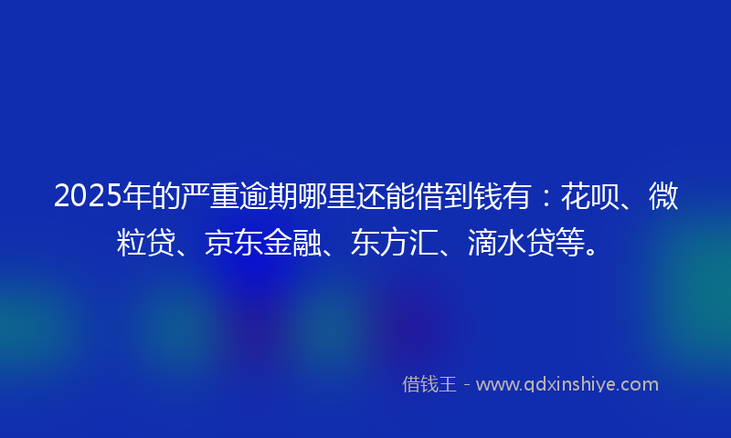 2025年的严重逾期哪里还能借到钱有：花呗、微粒贷、京东金融、东方汇、滴水贷等。