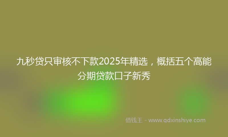 九秒贷只审核不下款2025年精选，概括五个高能分期贷款口子新秀
