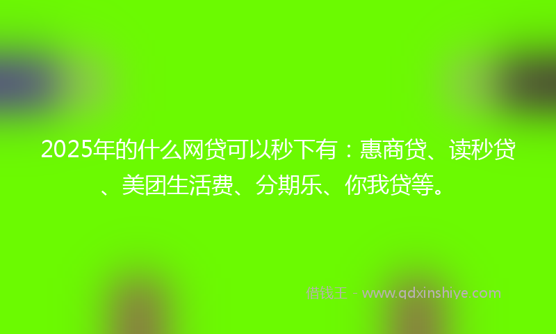 2025年的什么网贷可以秒下有：惠商贷、读秒贷、美团生活费、分期乐、你我贷等。