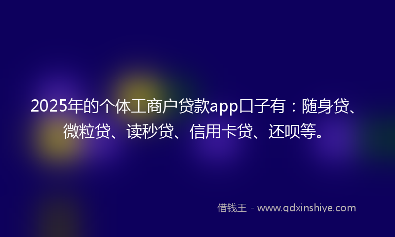 2025年的个体工商户贷款app口子有：随身贷、微粒贷、读秒贷、信用卡贷、还呗等。
