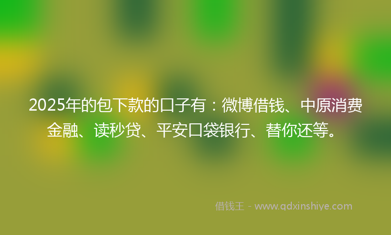 2025年的包下款的口子有：微博借钱、中原消费金融、读秒贷、平安口袋银行、替你还等。