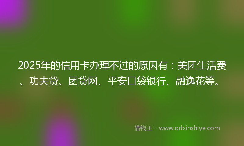 2025年的信用卡办理不过的原因有：美团生活费、功夫贷、团贷网、平安口袋银行、融逸花等。