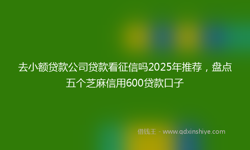 去小额贷款公司贷款看征信吗2025年推荐，盘点五个芝麻信用600贷款口子