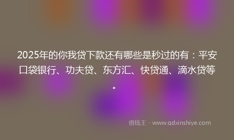 2025年的你我贷下款还有哪些是秒过的有：平安口袋银行、功夫贷、东方汇、快贷通、滴水贷等。