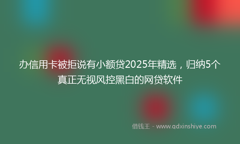 办信用卡被拒说有小额贷2025年精选，归纳5个真正无视风控黑白的网贷软件