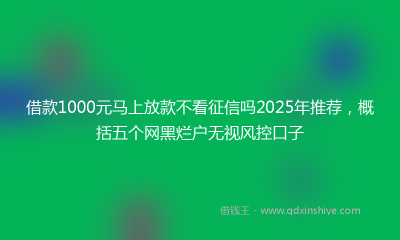 借款1000元马上放款不看征信吗2025年推荐，概括五个网黑烂户无视风控口子