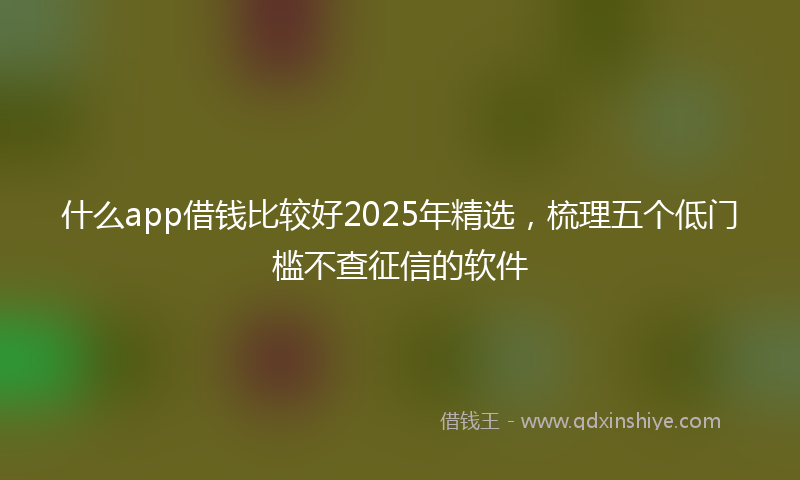 什么app借钱比较好2025年精选，梳理五个低门槛不查征信的软件