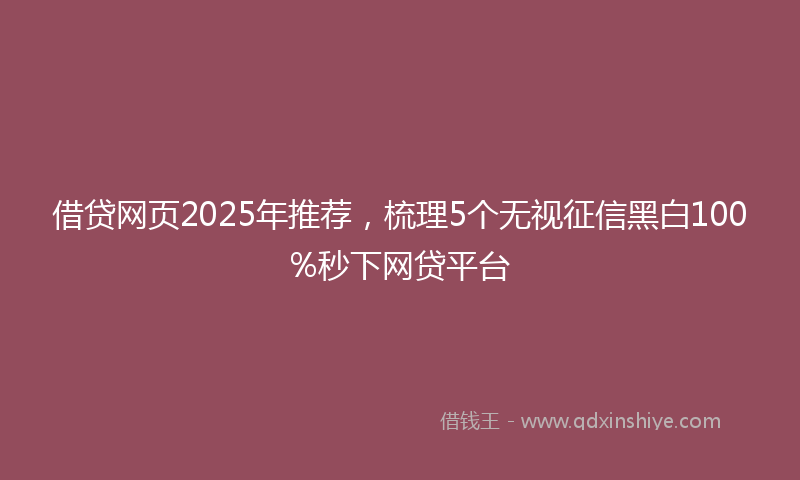 借贷网页2025年推荐，梳理5个无视征信黑白100%秒下网贷平台