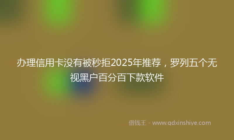 办理信用卡没有被秒拒2025年推荐，罗列五个无视黑户百分百下款软件