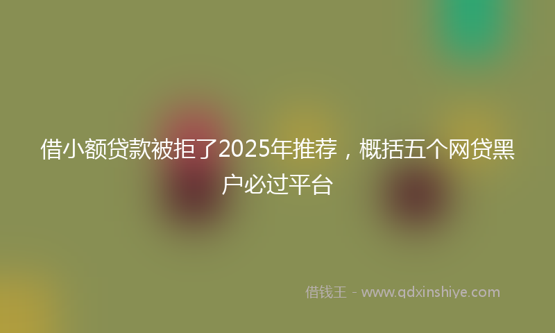 借小额贷款被拒了2025年推荐，概括五个网贷黑户必过平台