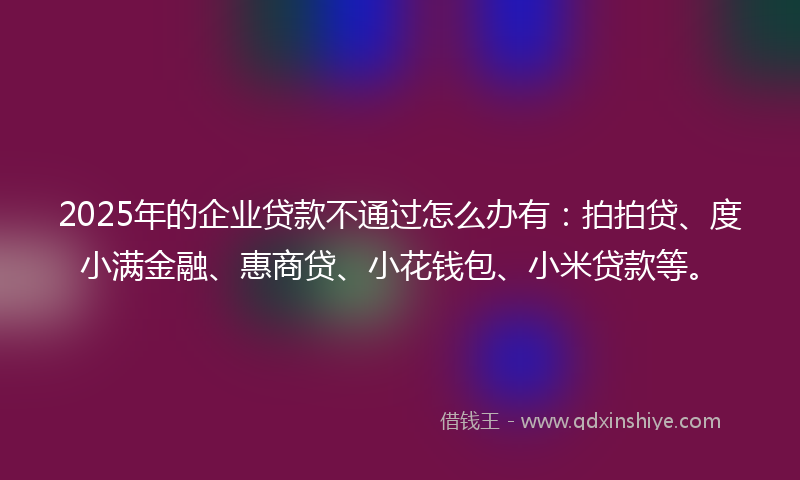2025年的企业贷款不通过怎么办有：拍拍贷、度小满金融、惠商贷、小花钱包、小米贷款等。