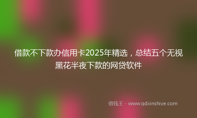 借款不下款办信用卡2025年精选，总结五个无视黑花半夜下款的网贷软件