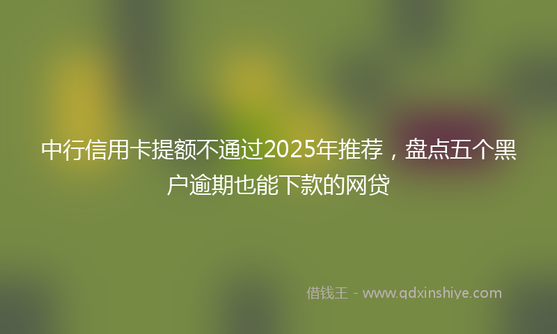 中行信用卡提额不通过2025年推荐，盘点五个黑户逾期也能下款的网贷