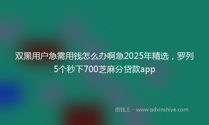 双黑用户急需用钱怎么办啊急2025年精选，罗列5个秒下700芝麻分贷款app