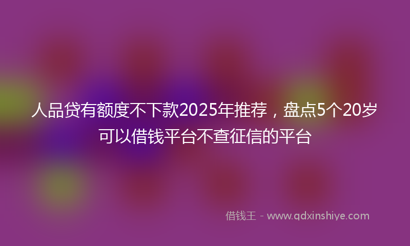 人品贷有额度不下款2025年推荐，盘点5个20岁可以借钱平台不查征信的平台