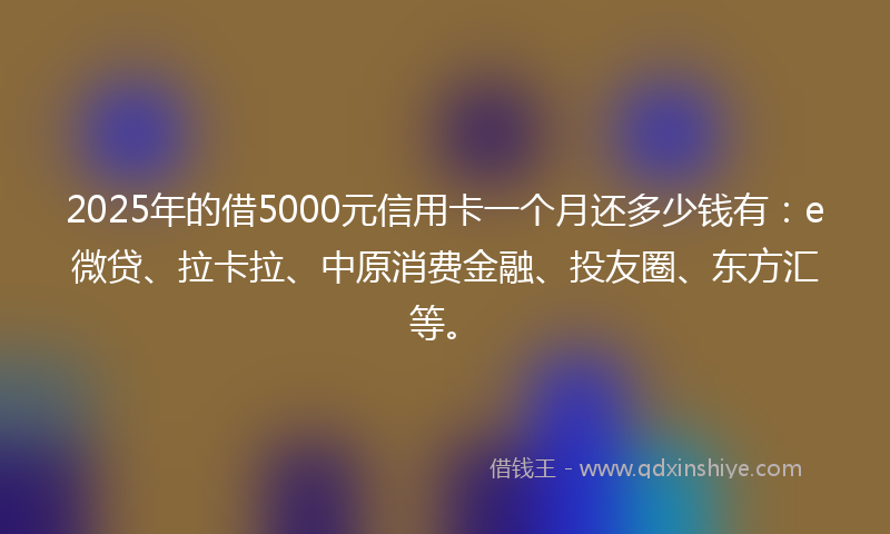 2025年的借5000元信用卡一个月还多少钱有：e微贷、拉卡拉、中原消费金融、投友圈、东方汇等。