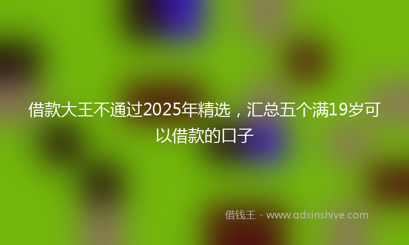 借款大王不通过2025年精选，汇总五个满19岁可以借款的口子