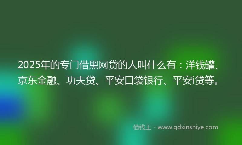 2025年的专门借黑网贷的人叫什么有：洋钱罐、京东金融、功夫贷、平安口袋银行、平安i贷等。