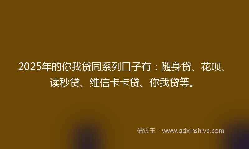 2025年的你我贷同系列口子有：随身贷、花呗、读秒贷、维信卡卡贷、你我贷等。