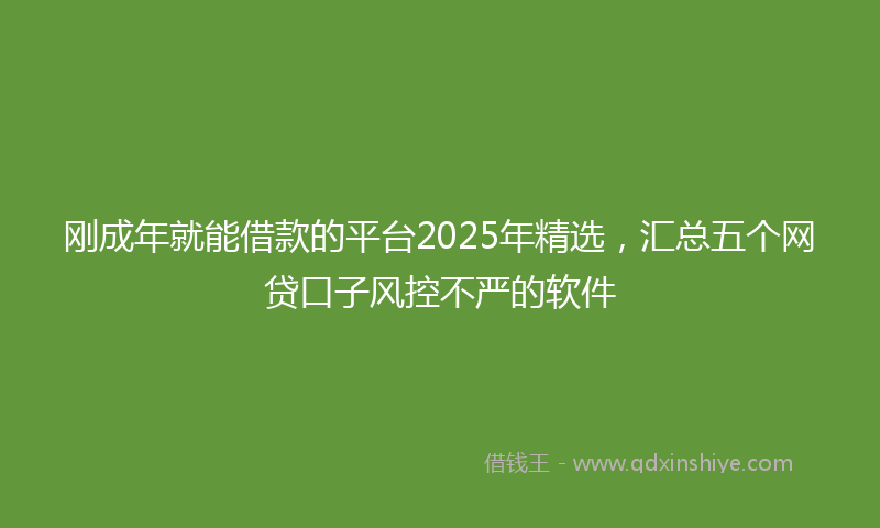 刚成年就能借款的平台2025年精选，汇总五个网贷口子风控不严的软件