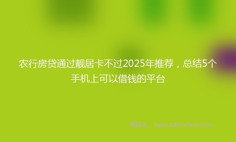 农行房贷通过靓居卡不过2025年推荐，总结5个手机上可以借钱的平台