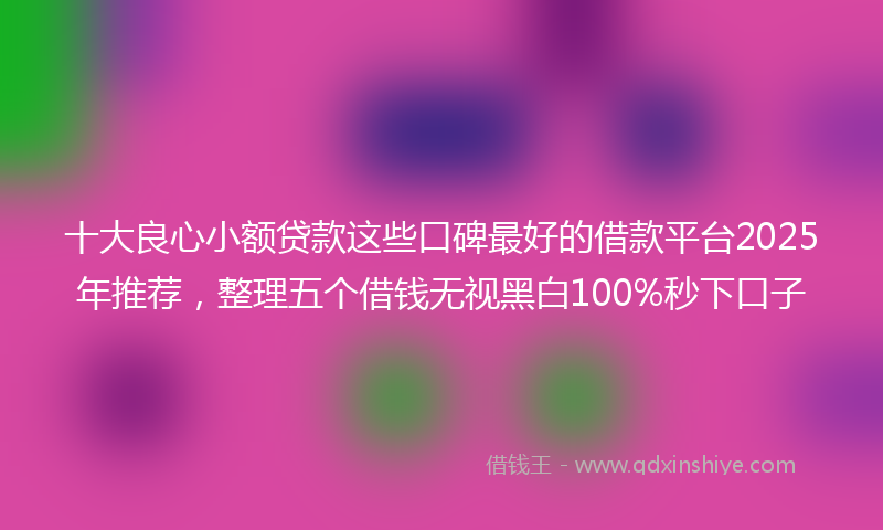 十大良心小额贷款这些口碑最好的借款平台2025年推荐，整理五个借钱无视黑白100%秒下口子